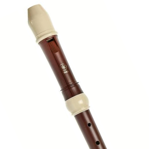 Recorder accessories